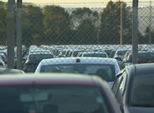 paralisa-gm-2-rbsn-1907-frame-16654