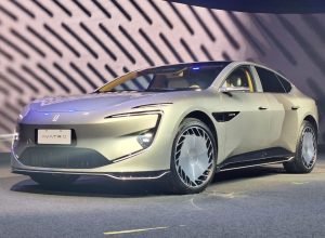 whatsapp-image-2025-11-20-at-17.35.07